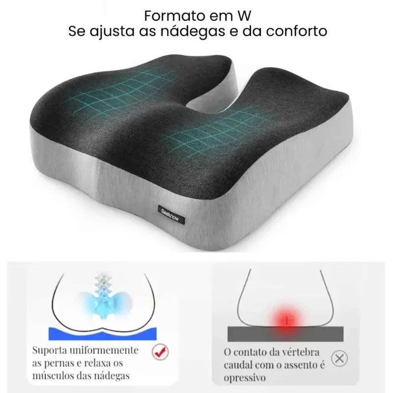 Encosto e Assento Ortopédico para Apoio Lombar